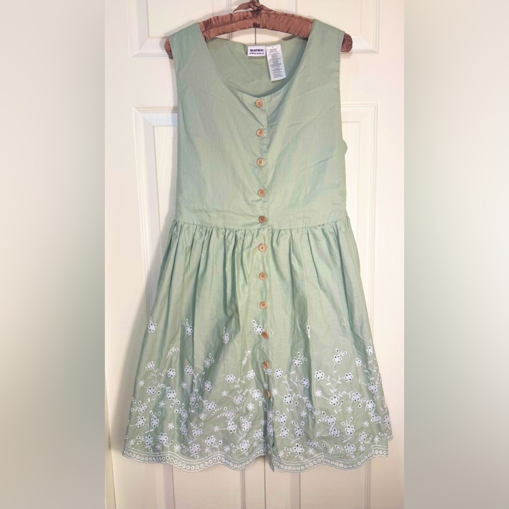 Blueberi Boulevard Sage Green Embroidered Floral Sundress Size L NWOT